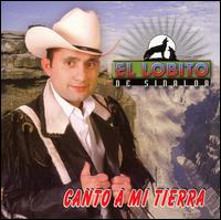 El Lobito de Sinaloa - Canto a Mi Tierra lyrics