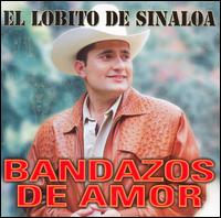 El Lobito de Sinaloa - Bandazos de Amor lyrics