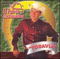 Patron de Sinaloa - Todavia lyrics