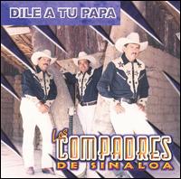 Copmadres de Sinaloa - Dile a Tu Papa lyrics