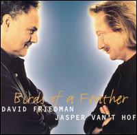 David Friedman - Birds of a Feather lyrics