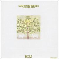 Eberhard Weber - Following Morning lyrics