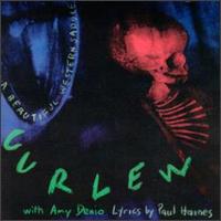 Curlew - A Beautiful Western Saddle lyrics