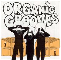 Organic Grooves - Organic Grooves 4 [live] lyrics