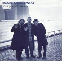 Medeski, Martin & Wood - It's a Jungle in Here lyrics