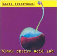 David Fiuczynski - Black Cherry Acid Lab lyrics