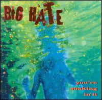 Big Hate - You're Soaking in It lyrics
