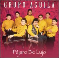 Grupo Aguila - Pajaro De Lujo lyrics