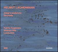 Helmut Lachenmann - Allegro Sostenuto/Serynade lyrics