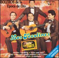 Los Tecolines - Boleros de La Epoca de Oro, Vol. 1 lyrics