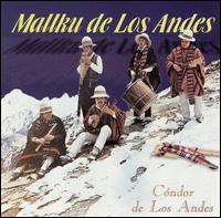 Mallku De Los Andes - Condor de los Andes lyrics