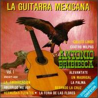 Antonio Bribiesca - La Guitarra Mexicana lyrics