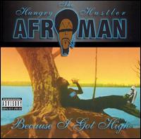 Afroman - Because I Got High lyrics