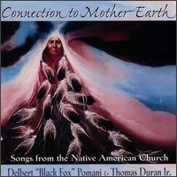 Delbert Black Fox Pomani - Connection to Mother Earth lyrics