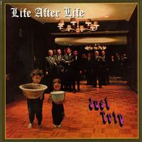 Life After Life - Just Trip lyrics