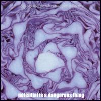 Holiday & the Adventure Pop Collective - Potential Is a Dangerous Thing lyrics