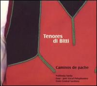 Tenores di Bitti - Caminos de Pache lyrics