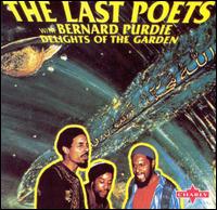 The Last Poets - Delights in the Garden lyrics