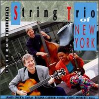 String Trio of New York - Intermobility lyrics