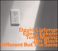 Dave Liebman - Different But the Same lyrics