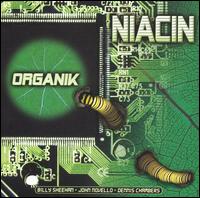 Niacin - Organik lyrics