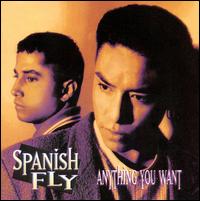 Spanish Fly - Anything You Want lyrics