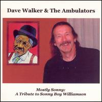David T. Walker - Mostly Sunny: A Tribute to Sonny Boy Williamson lyrics