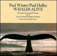 Paul Winter - Whales Alive lyrics