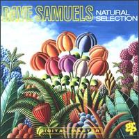 Dave Samuels - Natural Selection lyrics