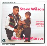 Steve Wilson - Blues for Marcus lyrics