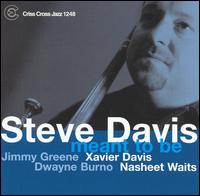 Steve Davis - Meant to Be lyrics