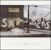 Salt Licks - Trust Your Body lyrics