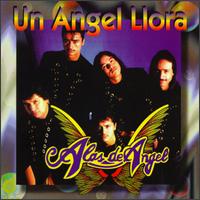 Alas de Angel - Un Angel Llora lyrics