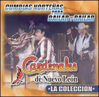 Los Cardenales de Nuevo Leon - Cumbias Nortenas Para Bailar Y Bailar lyrics