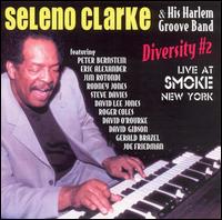 Seleno Clarke - Diversity Number 2 [live] lyrics