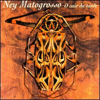 Ney Matogrosso - O Cair De Tarde lyrics