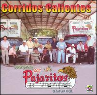 Los Pajaritos De Tacupa Michoacan - Corridos Calientes lyrics
