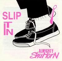 Almighty Shu Horn - Slip It In lyrics