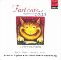 American Boy Choir - Fast Cats and Mysterious Cows lyrics