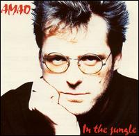 Amao - In the Jungle lyrics