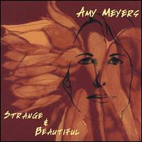 Amy Meyer - Strange & Beautiful lyrics