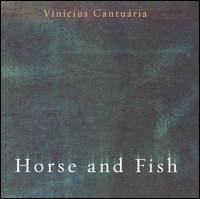 Vinicius Cantuaria - Horse & Fish lyrics