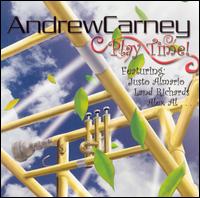 Andrew Carney - Playtime! lyrics