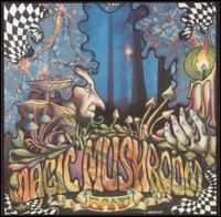 Magic Mushroom Band - Re-Hash lyrics
