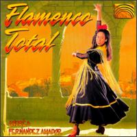 Andres Fernandez Amador - Flamenco Total lyrics