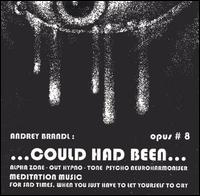 Andrey Brandl - Could Had Been...: Opus #8, Numero #28-30 [live] lyrics