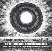 Andrey Brandl - Etchnicke Calmerroos: Opus #13, Numero #38-40 [live] lyrics