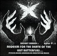 Andrey Brandl - Requiem for the Death of the Last Butterflies: Opus #11, Numero #33-34 [live] lyrics