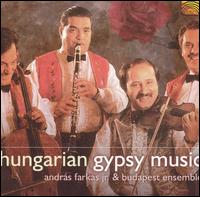 Andras Farkas, Jr. - Hungarian Gypsy Music lyrics