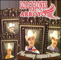 Los Ciclones del Arroyo - Me Estoy Enamorando lyrics